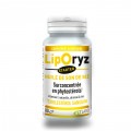 LIPORYZ STARTER 80 Cholesterol cure d'attaque - LT Labo - LTLabo