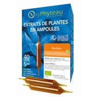 BOULEAU Bio - OxyPhyteau - Détox et minceur - Boîte de 40 amp.