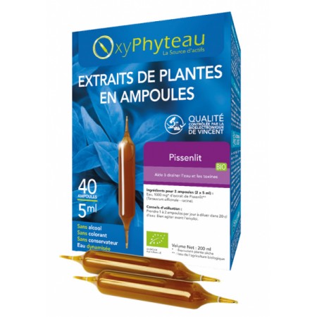 PISSENLIT Bio - OxyPhyteau - Dépuratif et digestion - Boîte de 40 amp.