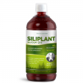 Siliplant 1000 ml Silicium G7 Silicium Espana labatories