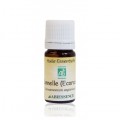 CANNELLE - huile essentielle 10 ml - Abiessenc