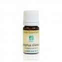 EUCALYPTUS GLOBULUS - 5ml Huile essentielle bio - Abiessence