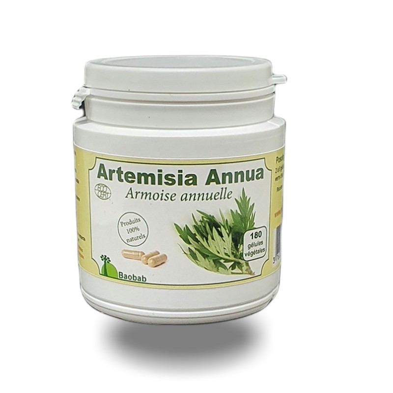 Artemisia annua bio