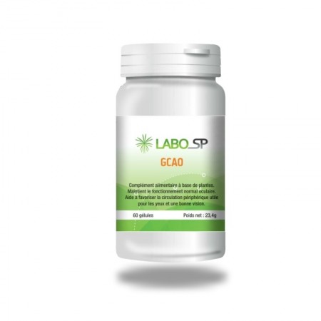 GCAO - laboSP