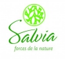 Salvi forces de la nature