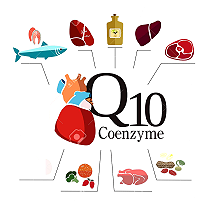 COQ10 - coenzyme Q10