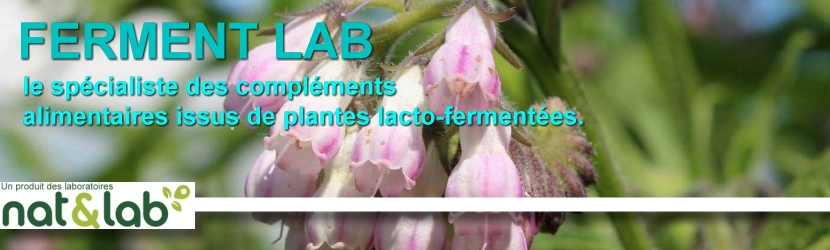 ferment-lab