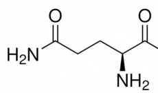 Les Vertus de la L-Glutamine